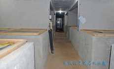 �F(xi��n)�����B(y��ng)�߻���